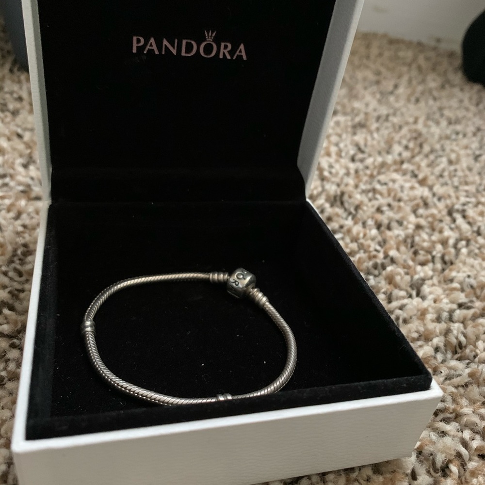 Pandora Charm Bracelet